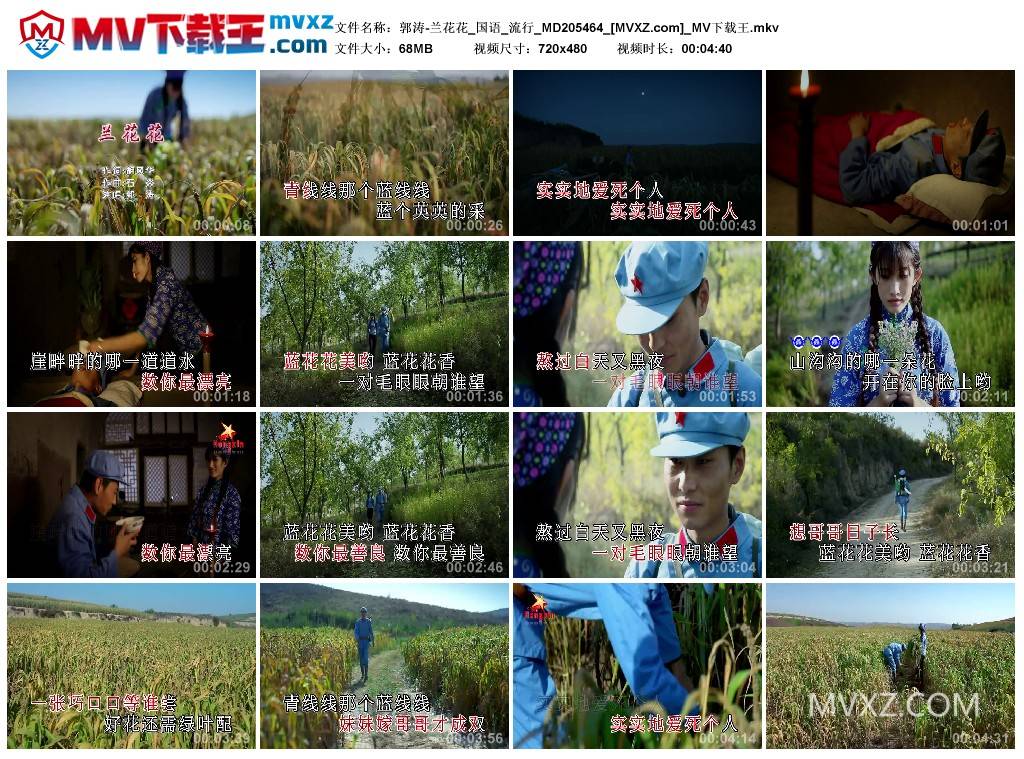 郭涛-兰花花_国语_流行_MD205464